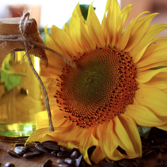 Conferencia Internacional. Semillas y Aceite de Girasol